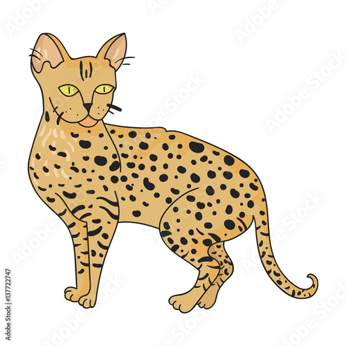Savannah icon in cartoon style isolated on white background. Cat breeds symbol stock vector illustration.