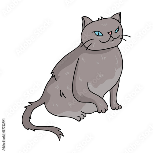 York Chocolate icon in cartoon style isolated on white background. Cat breeds symbol stock vector illustration.