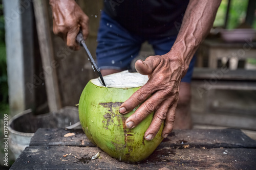 Farmers hands cut coconut