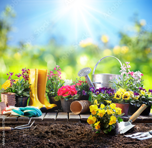 Canvas Print Gardening - Equipment For Gardener With Flowerpots