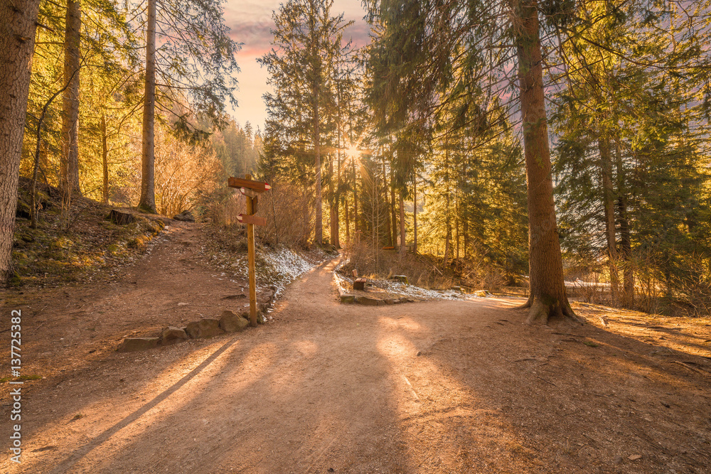 Fototapeta premium pathway in the mountains