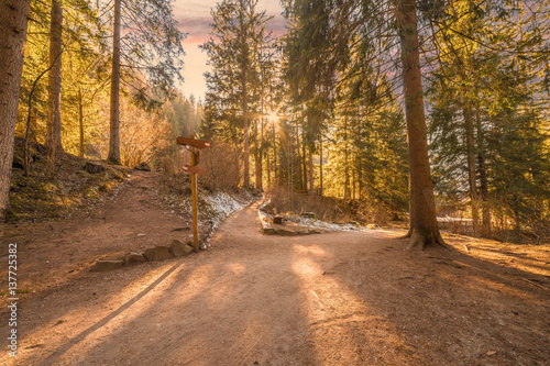 Fototapeta Naklejka Na Ścianę i Meble -  pathway in the mountains
