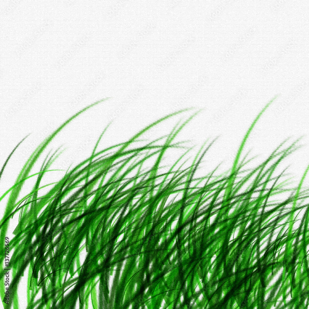 Fototapeta premium Grass texture