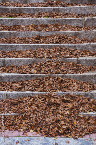 Escalera cubierta de hojas en otoño