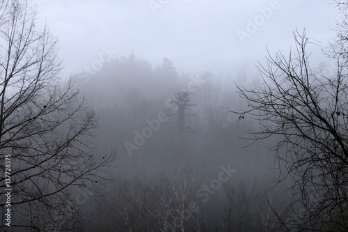 Canvas-taulu cold foggy hill