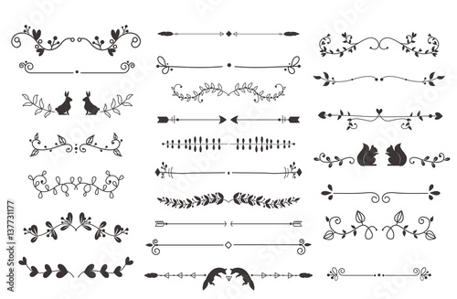 Vector dividers calligraphic line element.