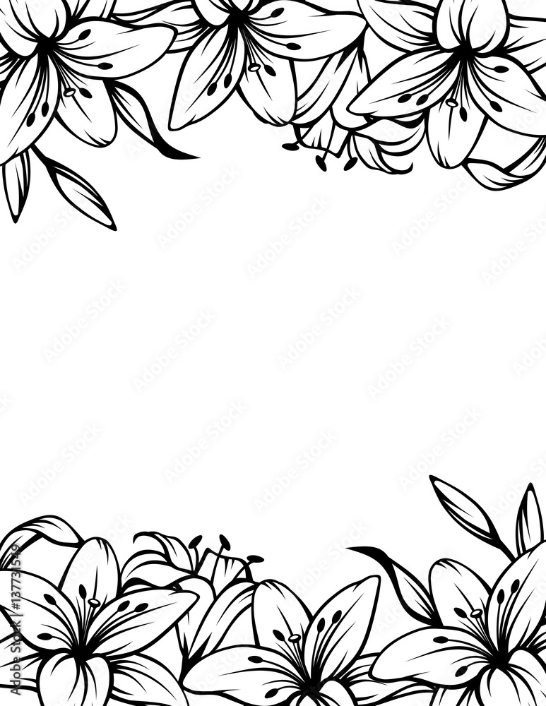 Vector black and white background with lily flowers.