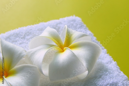 White towel with flowers of plumeria on the yellow background for spa theme.