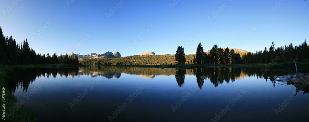 Fototapeta premium Tuolumne River reflection