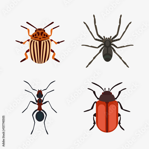 Insect icon flat isolated nature flying bugs beetle ant and wildlife spider grasshopper or mosquito cockroach animal biology graphic vector illustration.