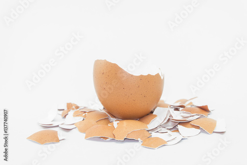 broke eggshell photo