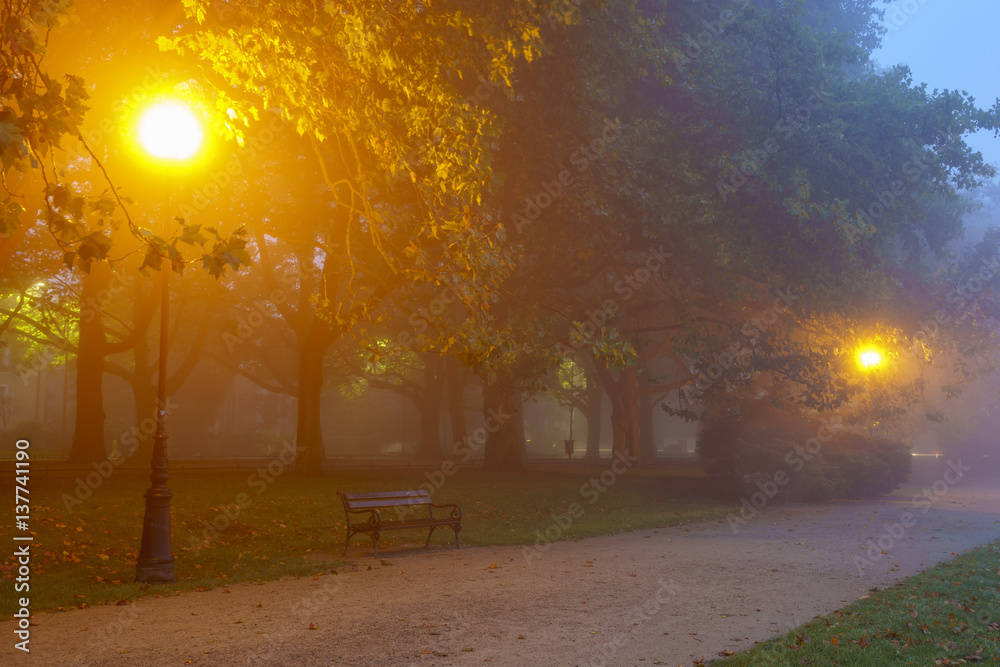 autumn city park