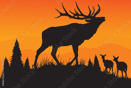 Elk Bugle © LUGOSTOCK