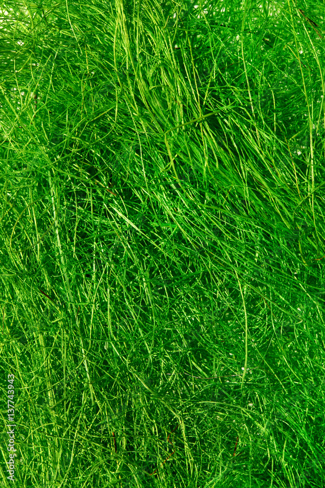 Natural sisal Natural sisal