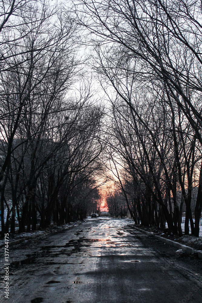 Весеннее фото дороги в парке вечером, закат солннца