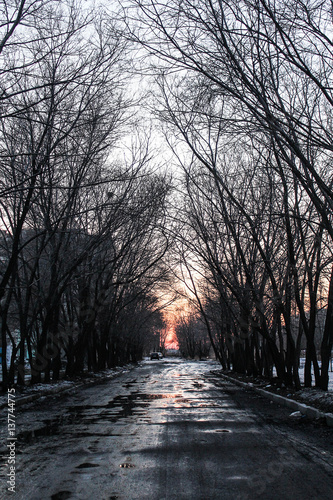 Весеннее фото дороги в парке вечером, закат солннца