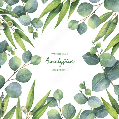 Watercolor square wreath with green eucalyptus leaves and branches.