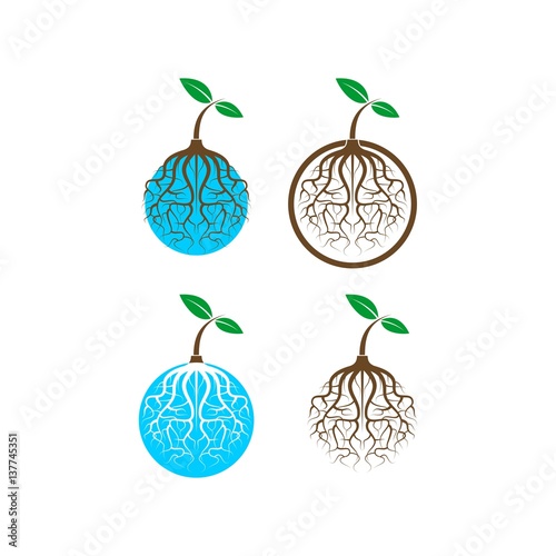 globe root vector logo
