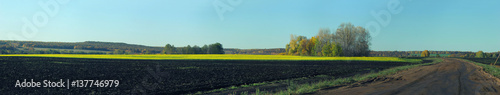 Panorama of fields, road and forest in autumn