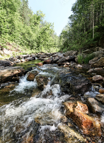 The foam of river rapids in a wooded area