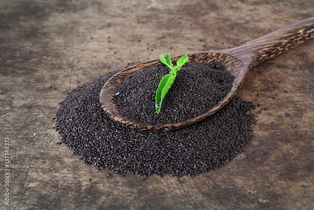 raw basil seed, herb in Thai, aids digestion as a laxative StockFoto