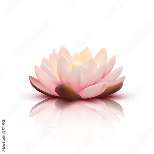 3D Flower Of Lotus