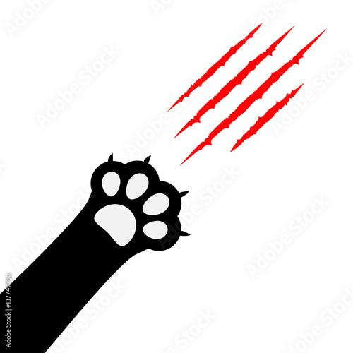 Black cat paw print leg foot. Bloody claws scratching animal red scratch scrape track. Corner diagonal. Cute cartoon character body part silhouette. Baby pet collection. Flat White background.