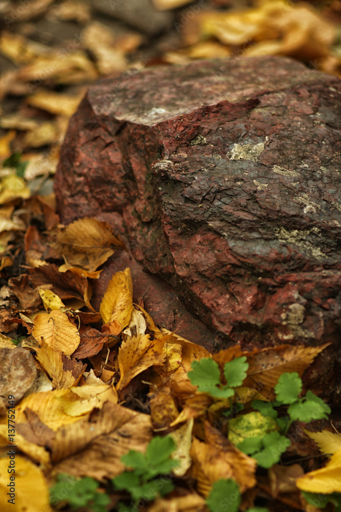 Red stone lying on the ground, laid by autumn leaves Red stone lying on the ground, laid by autumn leaves