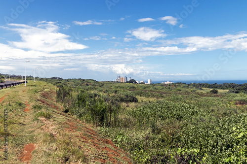 Fototapeta Naklejka Na Ścianę i Meble -  Coastal Landscape of Natural Green Vegetation in Umhlanga