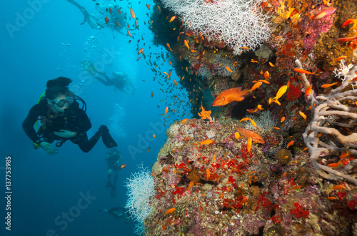 Fototapeta Naklejka Na Ścianę i Meble -  Woman scuba diver exploring sea bottom
