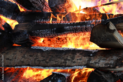 wooden logs burn with a bright flame in the fire