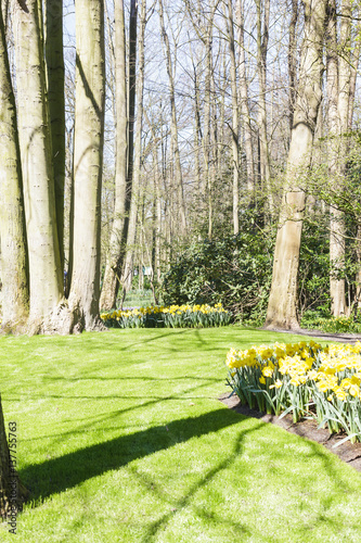 Spring in flowering green garden Keukenhof, Netherlands