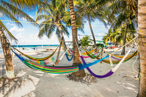 Hammocks between palm trees on sandy beach in Caye Caulker island, Belize.