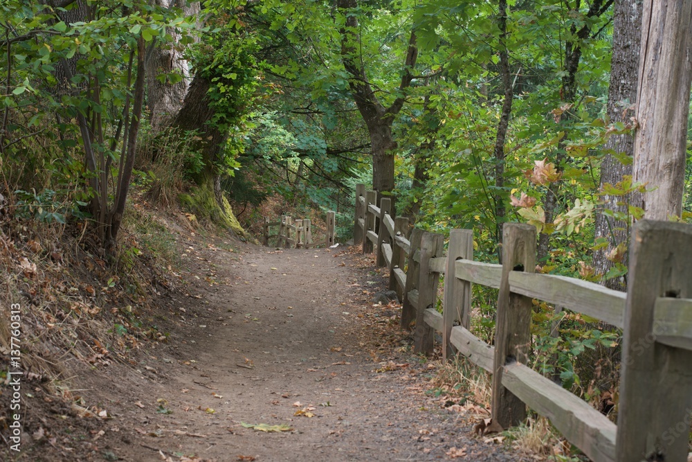Fototapeta premium Trail with a fence to one side through a forested park.