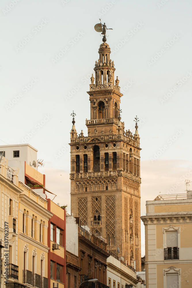 tower of Sevilla cathedral