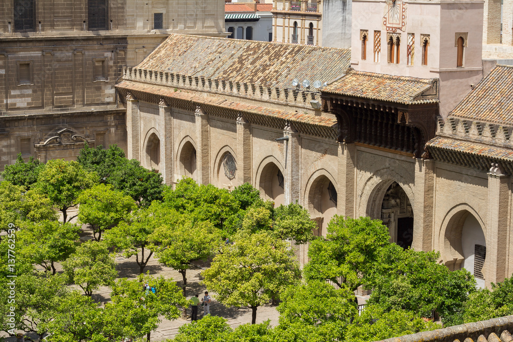 top view of sevilla cathedral courtyard with orange trees
