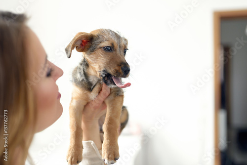Fototapeta Naklejka Na Ścianę i Meble -  Junge Frau hält ihren gähnenden Hund