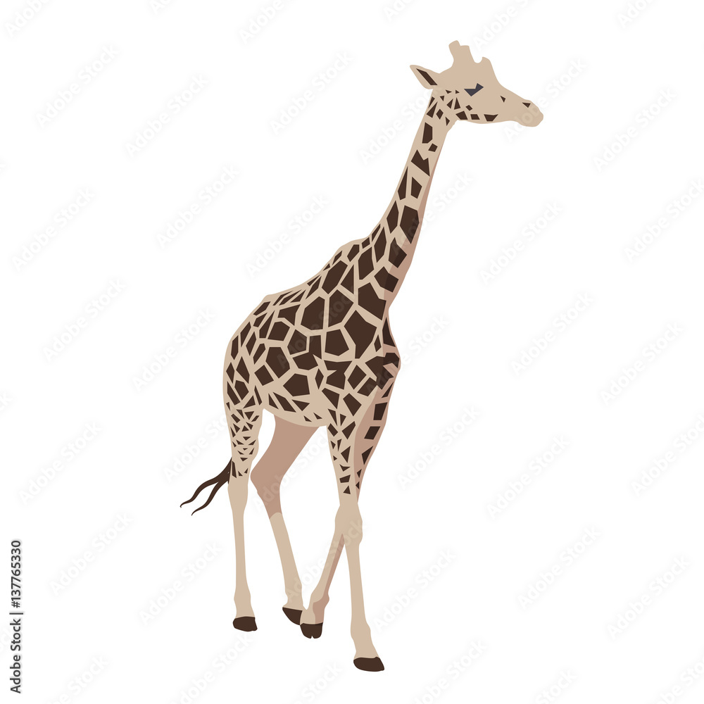 Obraz premium Giraffe abstract vector isolated illustration
