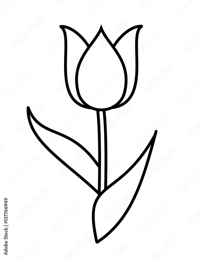 チューリップ 線画 Stock イラスト Adobe Stock
