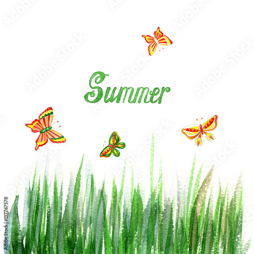 Floral summer background with grass and butterfly. Watercolor Texture.