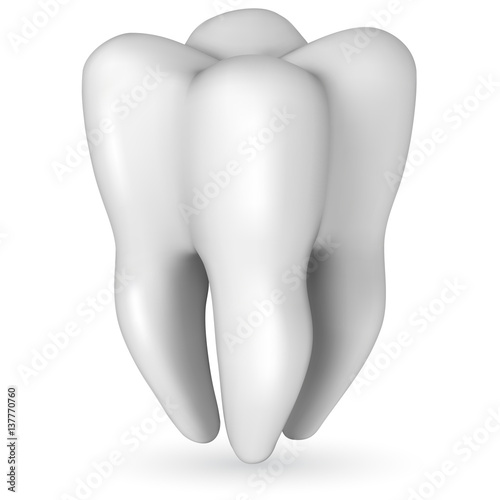 Healthy white molar tooth realistic vector illustration isolated on white background.