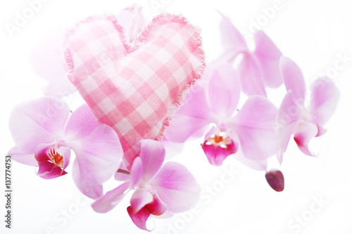 Orchid with a heart