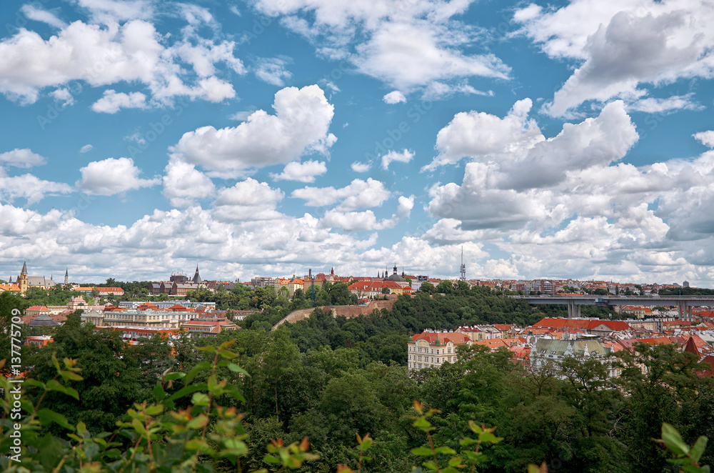 Fototapeta premium Czech Republic. Prague. The view from the height on the houses in Prague.
