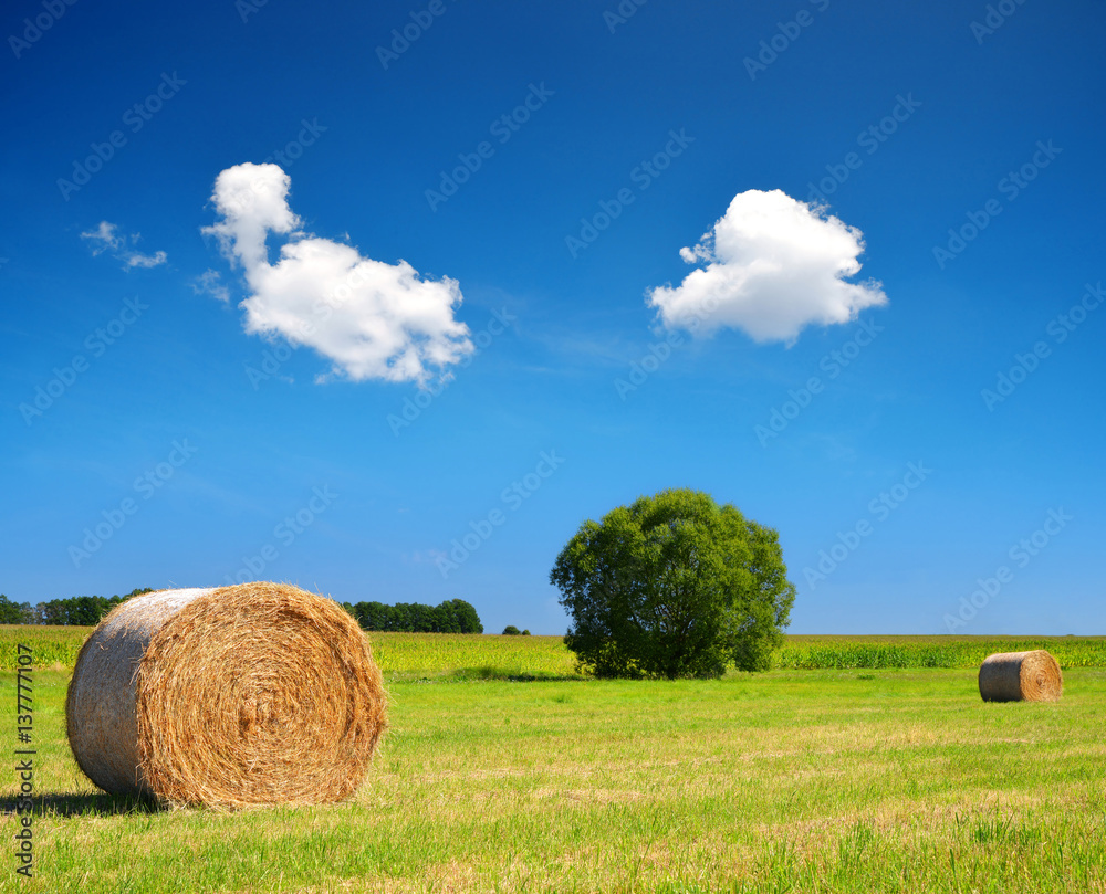 Straw bale on meadow with blue sky