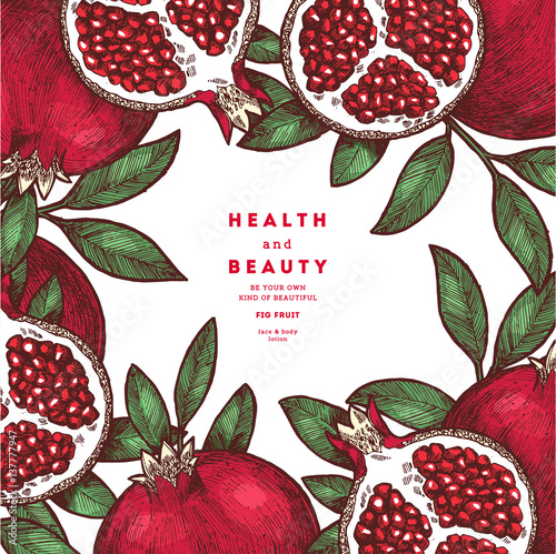 Pomegranate fruit vintage design template. Botanical fruit. Engraved pomegranate illustration. Vector illustration
