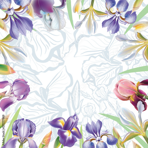 Fototapeta Naklejka Na Ścianę i Meble -  Greeting card with iris flowers