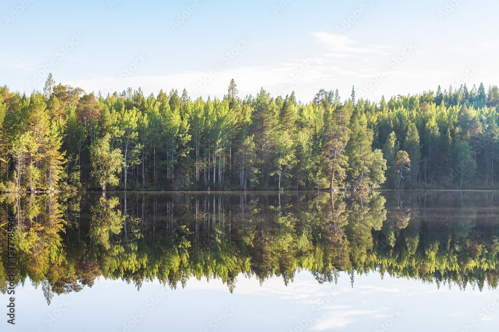 Fototapeta premium Лес отражается в воде озера на Соловецком острове