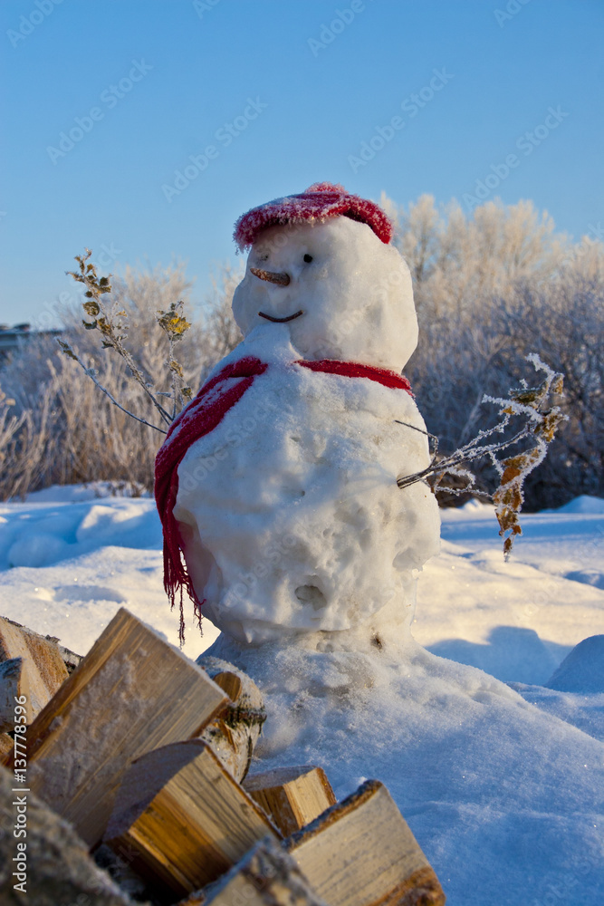 Obraz premium Winter landscape, snow texture
