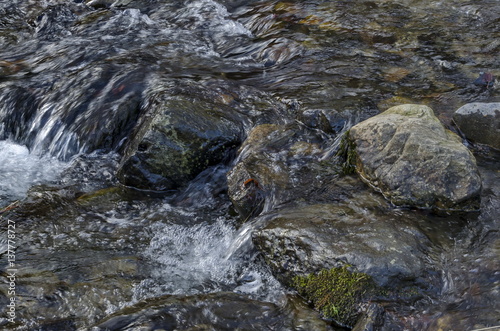 Beautiful motion blurred water stream landscape in the winter forest close up, Vitosha mountain, Bulgaria 