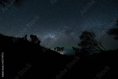 The milky way illuminated above the dark silhouette of the forest.